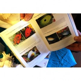 Guide des poissons de tahiti et ses iles nouvelle edition