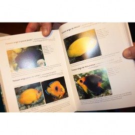 Guide des poissons de tahiti et ses iles nouvelle edition