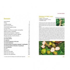 Guide des fruits de tahiti et ses iles nouvelle edition