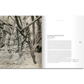 Tiki le livre musee de tahiti et ses iles
