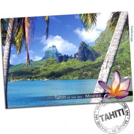 Carte postale moorea baie de cook cp294