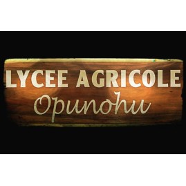 Confiture artisanale moorea 350g mangue vanille tahiti