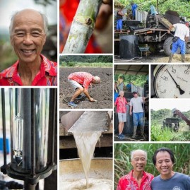 Sirop de canne a sucre de tahiti a la vanille 50 cl