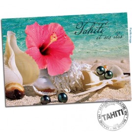 Carte postale hibiscus perles et coquillages cp321