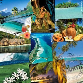 Carte postale fare polynesiens au bord du lagon cp314