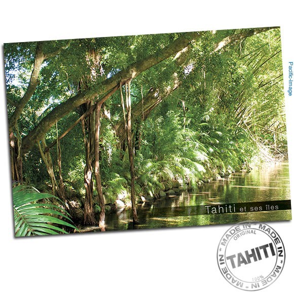 Carte postale banians polynesiens bord de riviere cp298