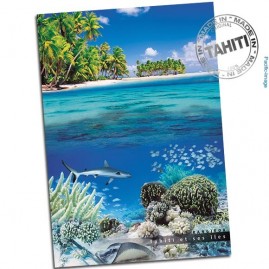 Carte postale fonds sous-marins rangiroa cp176