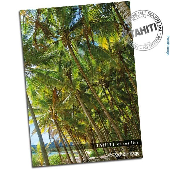 Carte postale cocoteraie polynesienne cp341