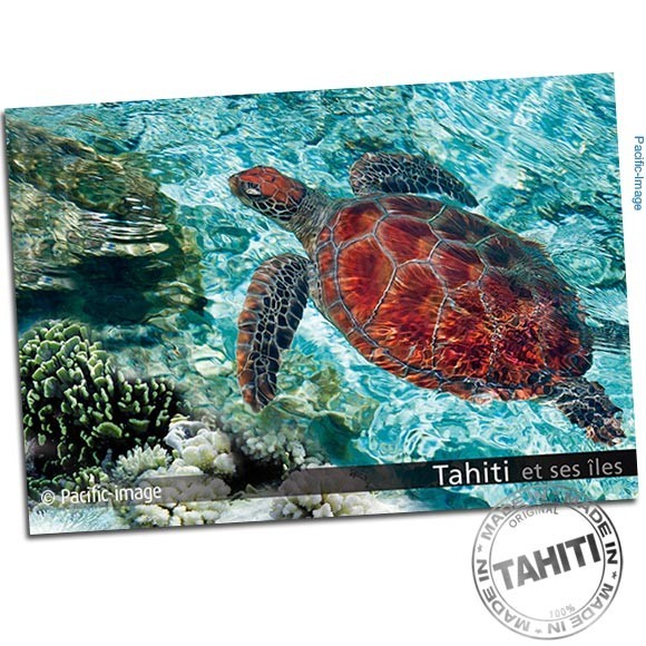 Carte postale honu tortue lagon bora bora cp327
