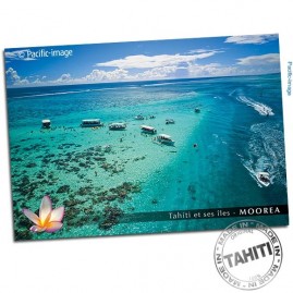 Carte postale moorea dejeuner avec les raies cp345