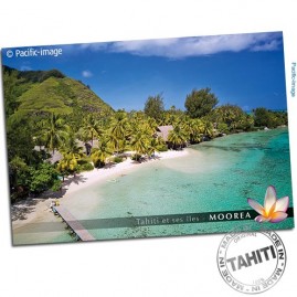 Carte postale moorea plage hotel tipaniers cp344