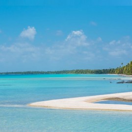 Fleur de sel des tuamotu avec ananas 60g tahiti sel