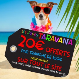 20 € offerts en bon d'achat par tranche de 100 €*