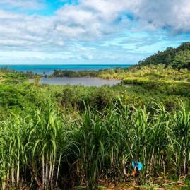 Rhum blanc agricole 59,9 quintessence manutea tahiti 70cl