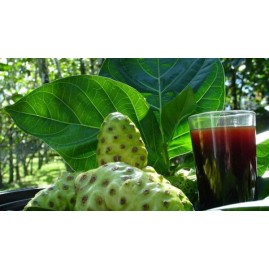 Pur jus de noni detox tahiti naturel bio 1l