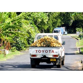 Rotui bio moorea nectar 70% de mangue 1 litre