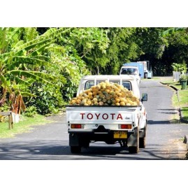 Confiture de mangue tahiti manutea rotui moorea 435g
