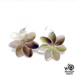 Boucles Oreilles Argent...