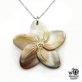 Chaine Argent Pendentif...