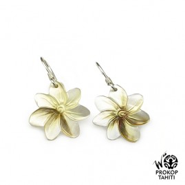 Boucles Oreilles Argent...