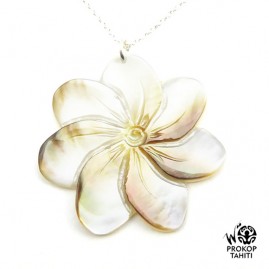 Chaine Argent Pendentif...