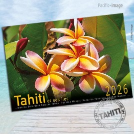Calendrier Tahiti et ses...