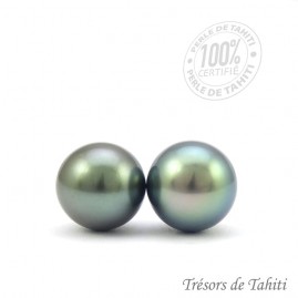 Boucles d'Oreilles Clous...
