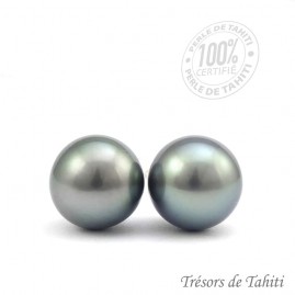 Boucles d'Oreilles Clous...