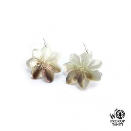 Boucles Oreilles Argent...