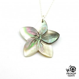 Chaine Argent Pendentif...