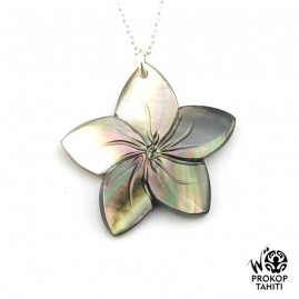 Chaine Argent Pendentif...