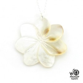 Chaine Argent Pendentif...