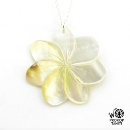 Chaine Argent Pendentif...