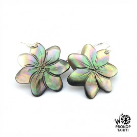 Boucles Oreilles Argent...