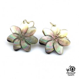 Boucles Oreilles Argent...