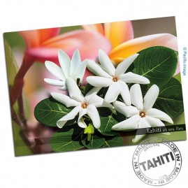 Carte Postale Fleurs de...
