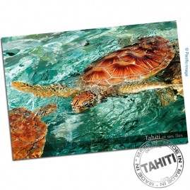 Carte Postale Tortues Lagon...