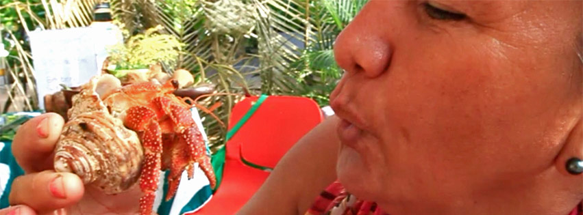 LE BERNARD LHERMITE BUZZ AVEC LE MONOI.