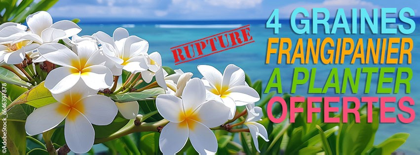 FAITES POUSSER TAHITI CHEZ VOUS !