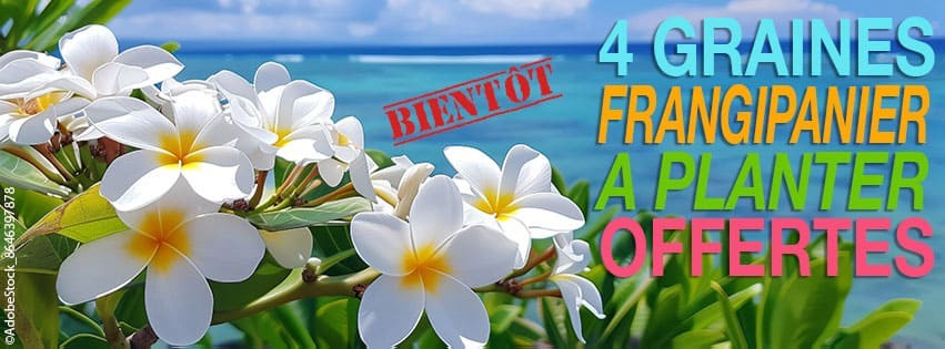 FAITES POUSSER TAHITI CHEZ VOUS !