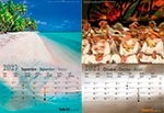 CalendrierB-2027-A5