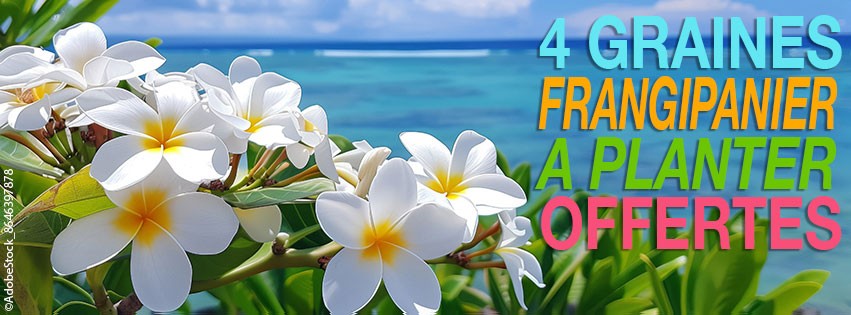 CADEAU DE PRINTEMPS À CHOISIR AVEC VOS ÉCHANTILLONS