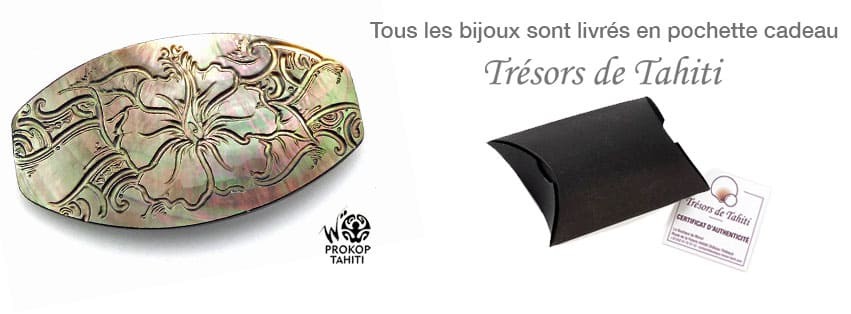 NOUVELLES BARRETTES XL ENNACRE DE TAHITI