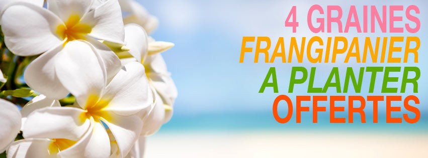 CADEAU DE PRINTEMPS À CHOISIR AVEC VOS ÉCHANTILLONS